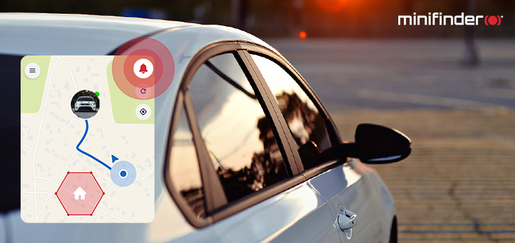How do you check if a car is stolen? We will help you!