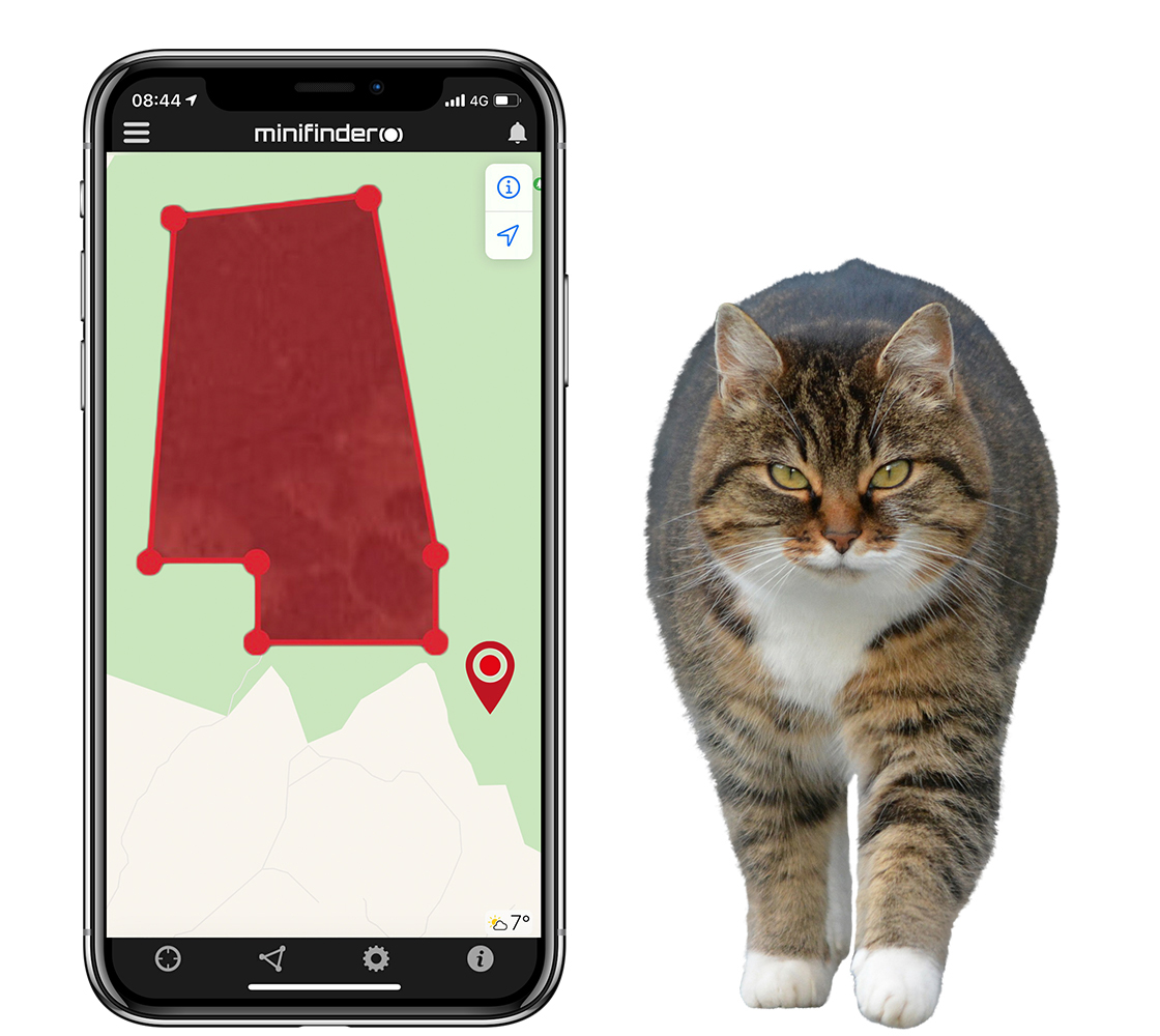 Volg uw kat met behulp van GPS-technologie