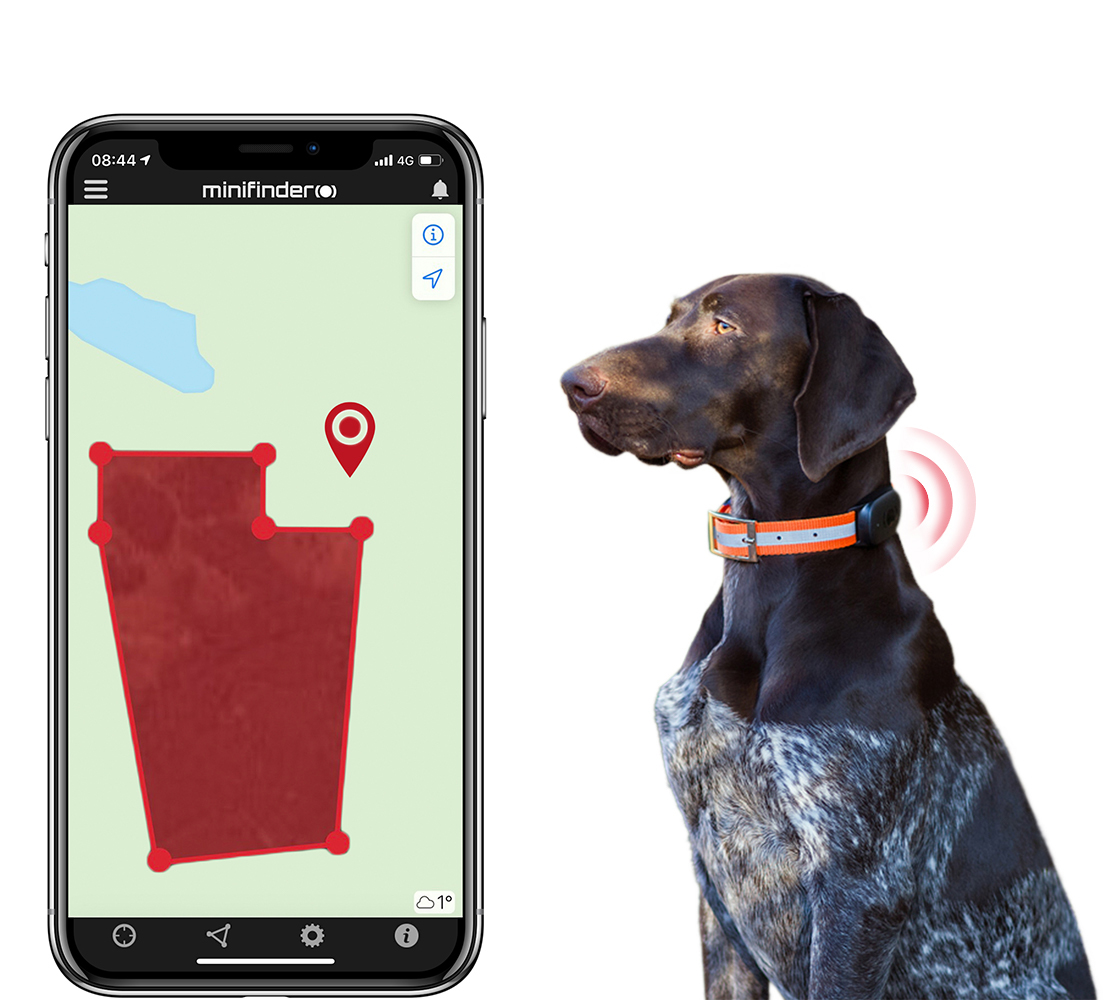 GPS voor jachthonden maakt jagen veiliger